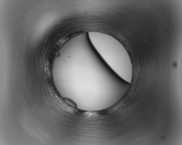 X0000116010477200911191242