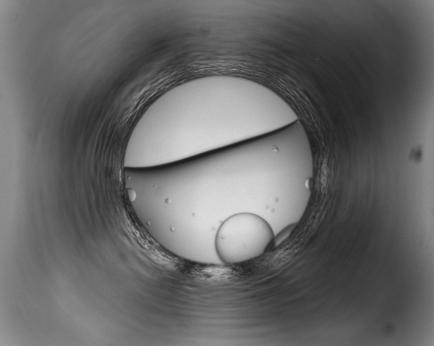 X0000116010478200911191242