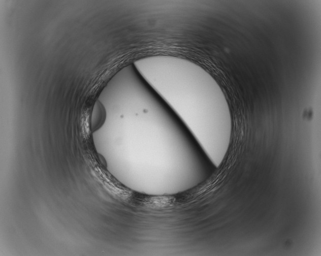 X0000116010479200911191242