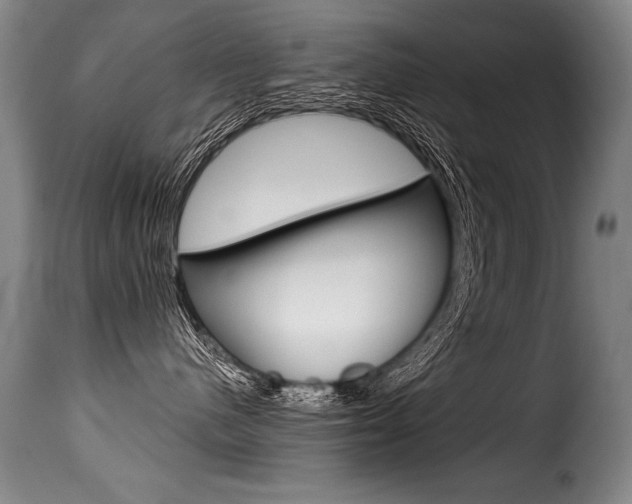 X0000116010480200911191242