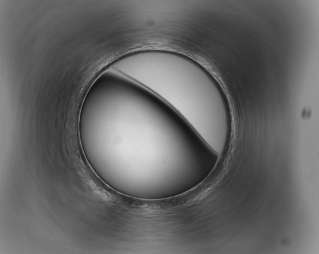 X0000116010481200911191241