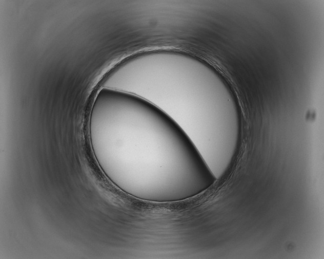 X0000116010483200911191241