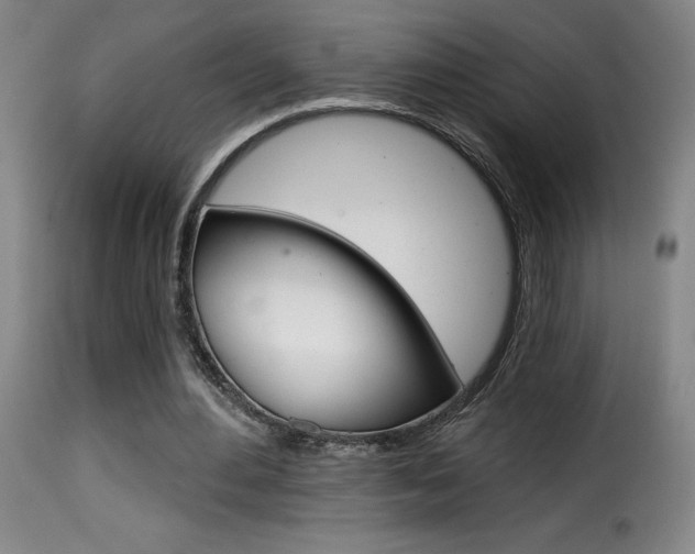 X0000116010484200911191241
