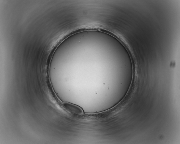 X0000116010485200911191241