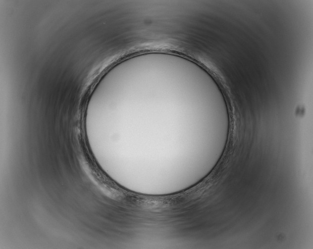 X0000116010486200911191241