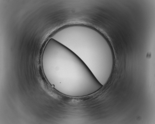 X0000116010487200911191241