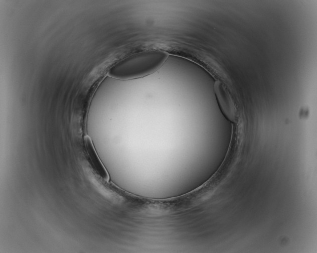 X0000116010489200911191241