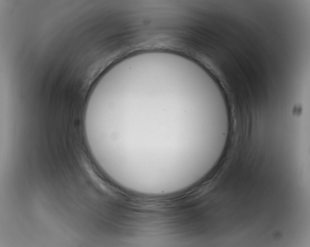 X0000116010493200911191241