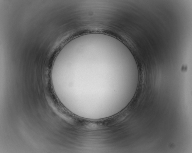 X0000116010494200911191241
