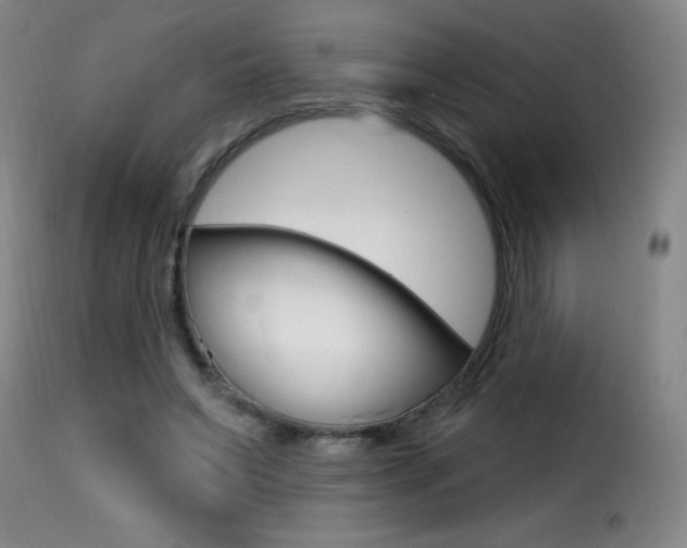 X0000116010495200911191241