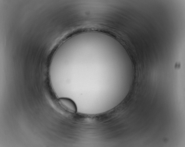 X0000116010496200911191241