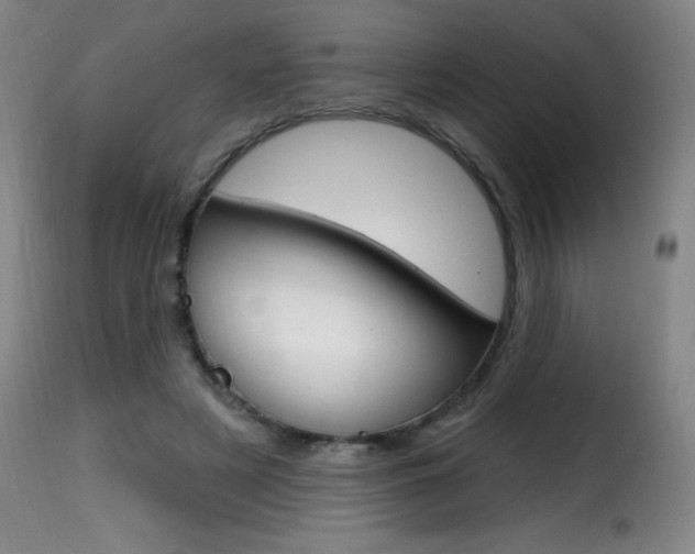 X0000116010497200911191241