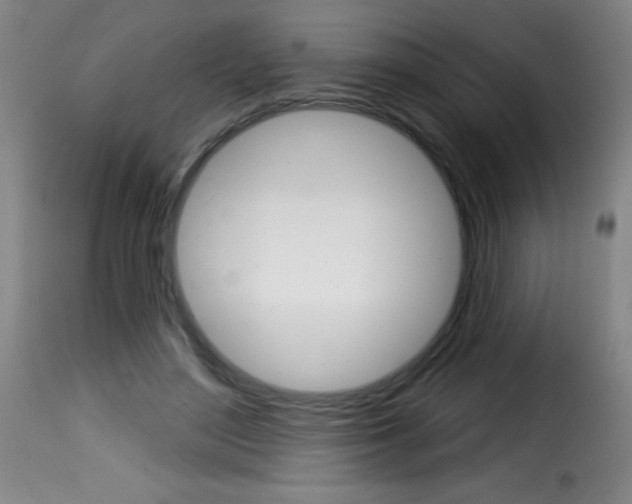 X0000116010500200911191241