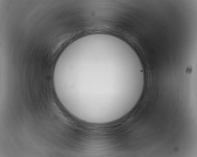 X0000116010501200911191241