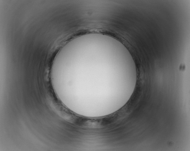 X0000116010502200911191241