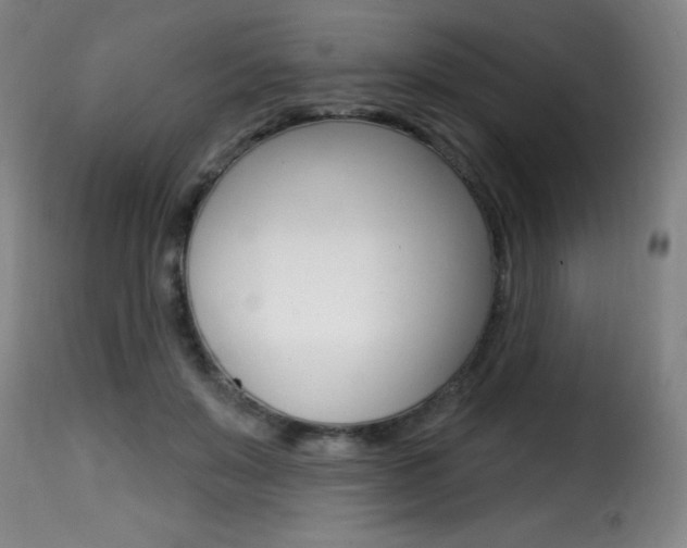 X0000116010503200911191241