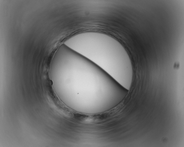 X0000116010504200911191241
