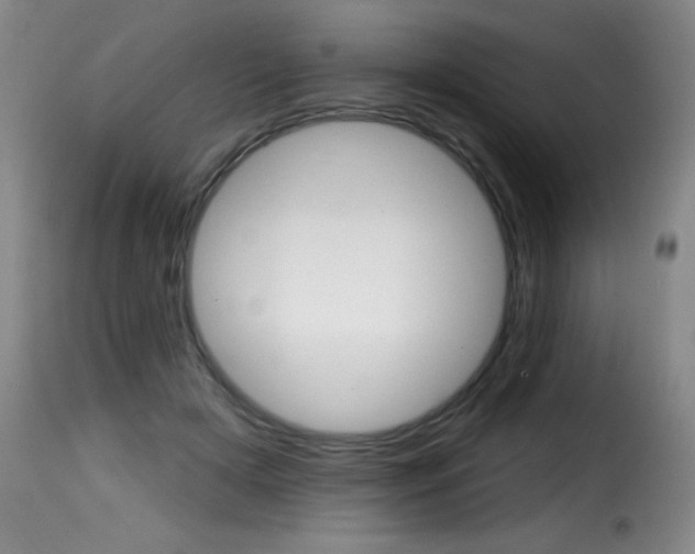 X0000116010505200911191241