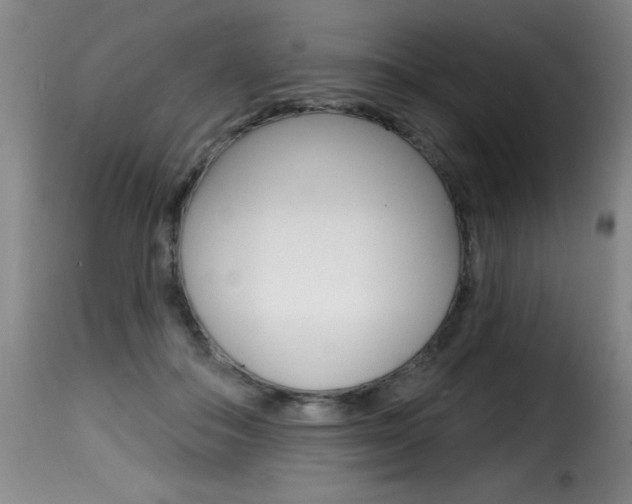 X0000116010506200911191241