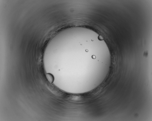 X0000116010507200911191241