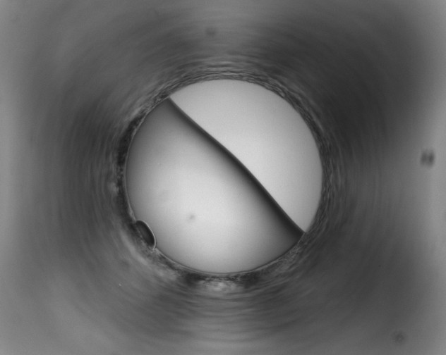 X0000116010512200911191241