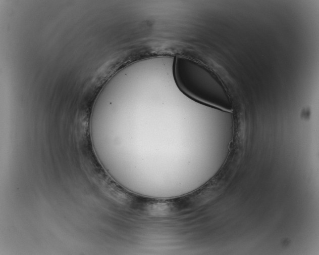 X0000116010513200911191241