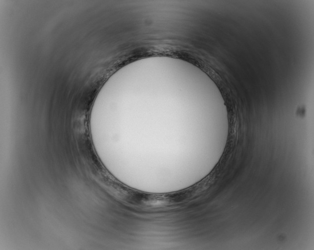 X0000116010514200911191241