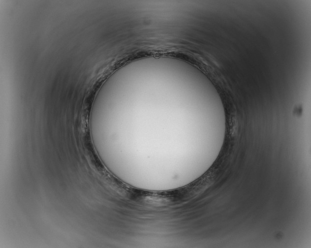 X0000116010515200911191241