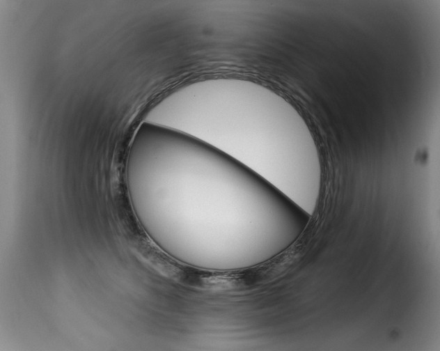 X0000116010516200911191241