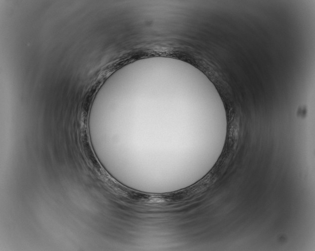 X0000116010518200911191241