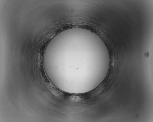 X0000116010519200911191241