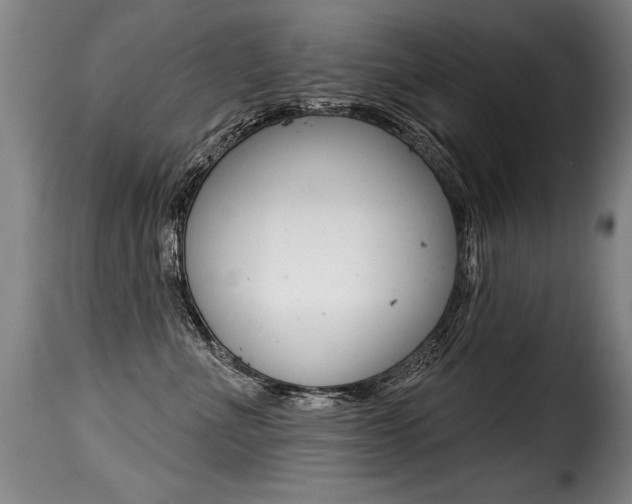 X0000116010523200911191240