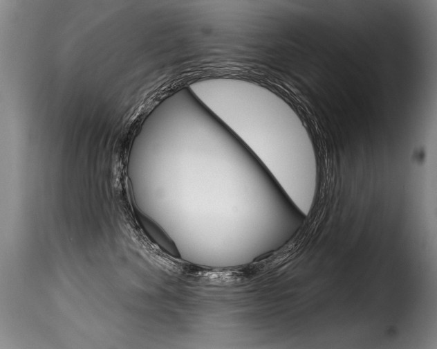 X0000116010524200911191240