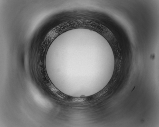 X0000116010526200911191240