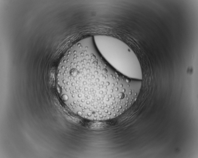 X0000116010527200911191240
