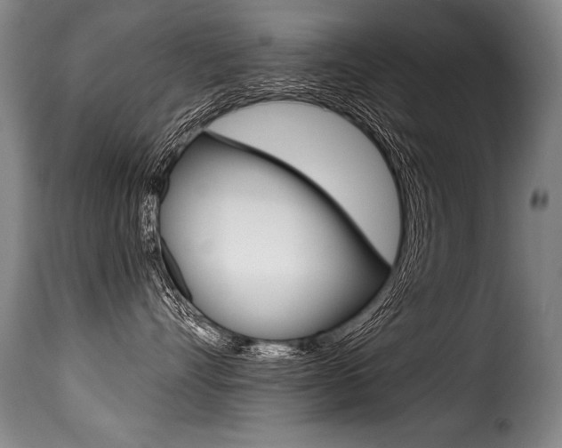 X0000116010528200911191240