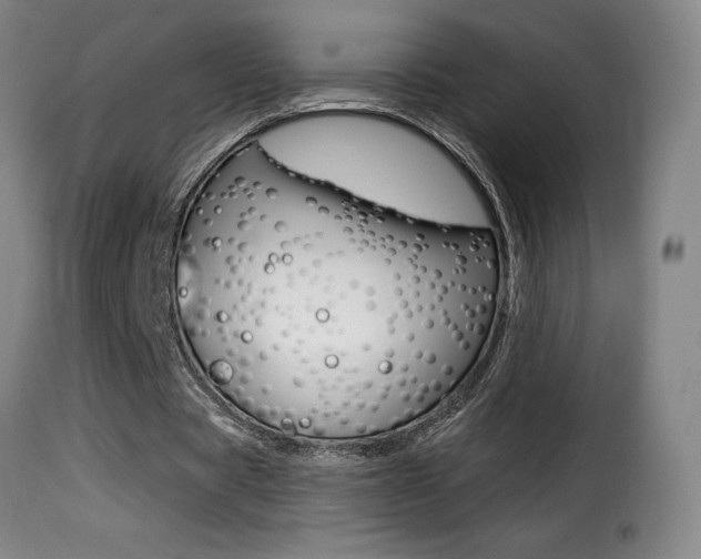 X0000116010529200911191240