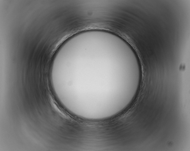 X0000116010530200911191240