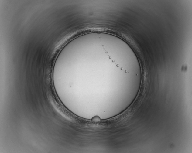 X0000116010533200911191240