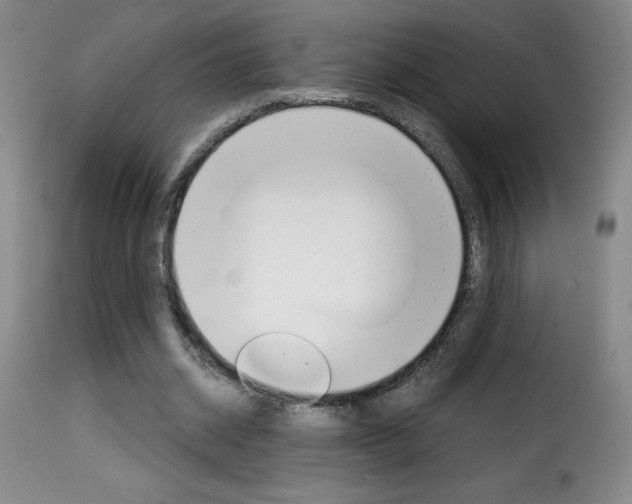 X0000116010534200911191240