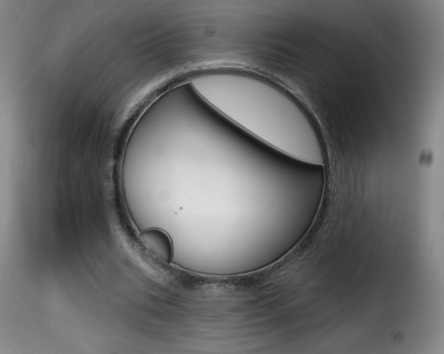 X0000116010535200911191240