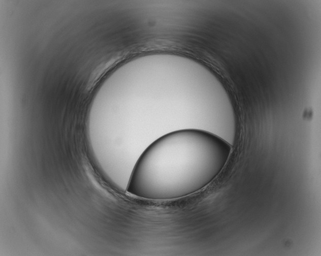 X0000116010538200911191240