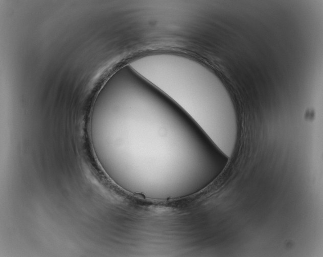 X0000116010539200911191240