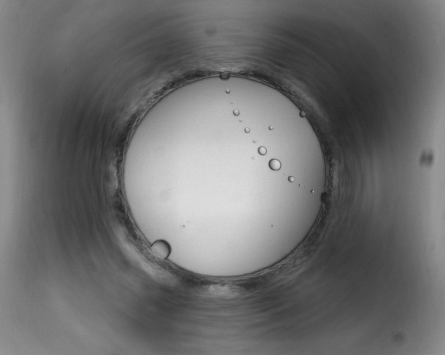 X0000116010541200911191240