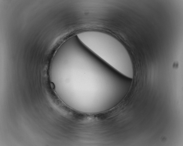 X0000116010543200911191240