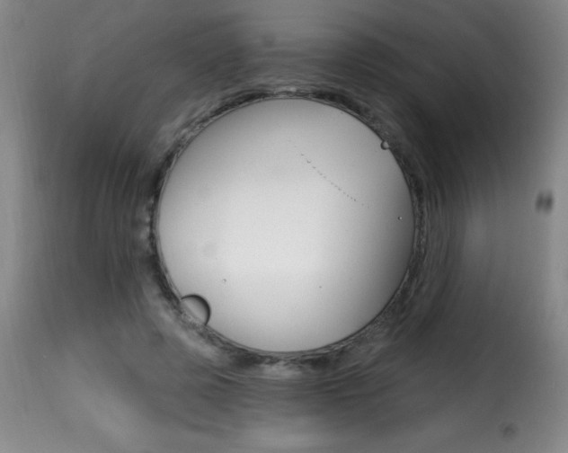 X0000116010545200911191240