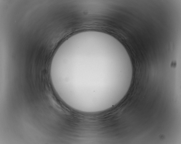 X0000116010546200911191240
