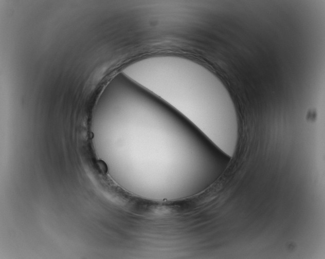 X0000116010547200911191240