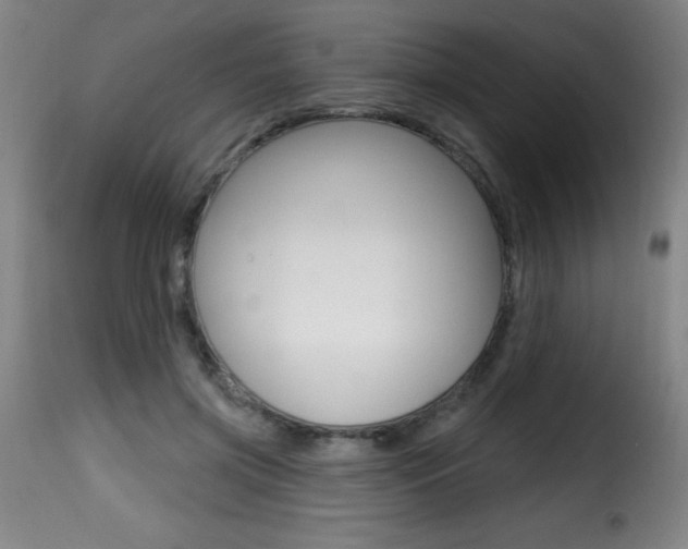 X0000116010549200911191240