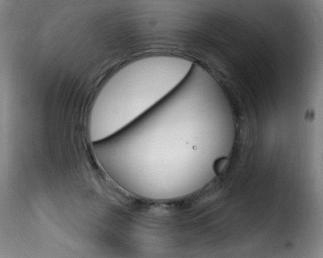 X0000116010550200911191240